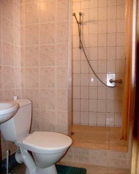 Dušas, prausyklė ir WC pirmame aukšte.